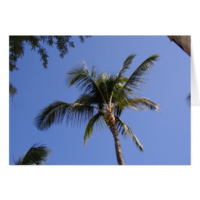 Palm Tree (Front Horizontal)