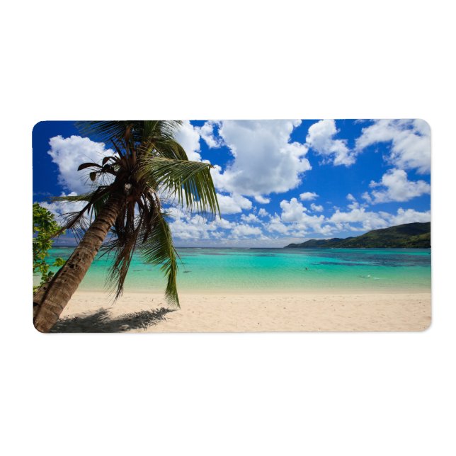 Palm tree (Front)