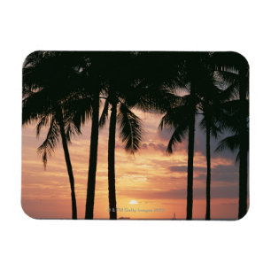 Palm Tree 3 Magnet