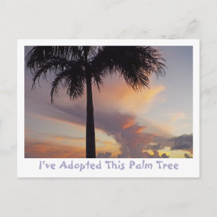 PALM TREE AGAINST LAVENDER,PEACH,GOLD SUNSET POSTCARD