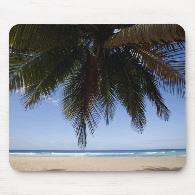 Palm tree along Caribbean Sea. Mouse Pad (Front)