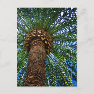 Palm Tree And Beach Wedding Invitation Postcard