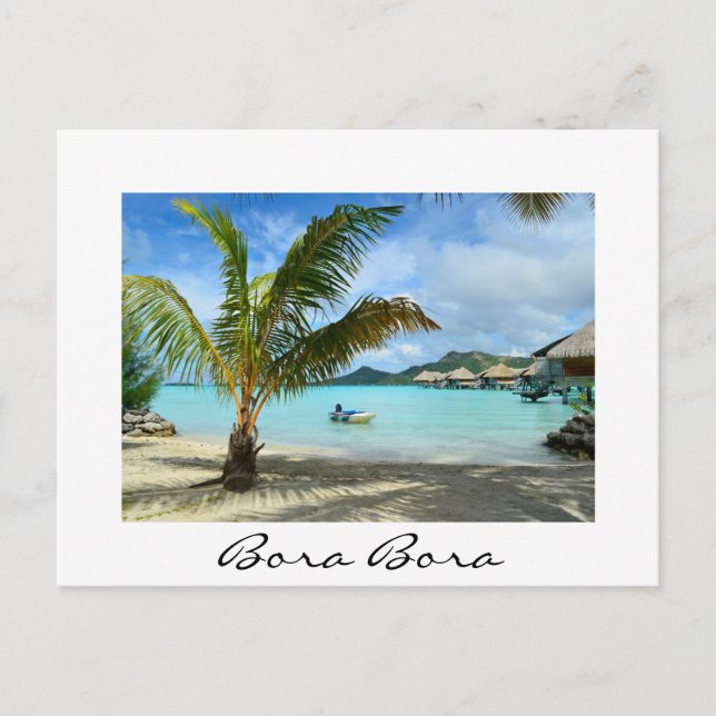 Palm tree and overwater resort white postcard (Front)