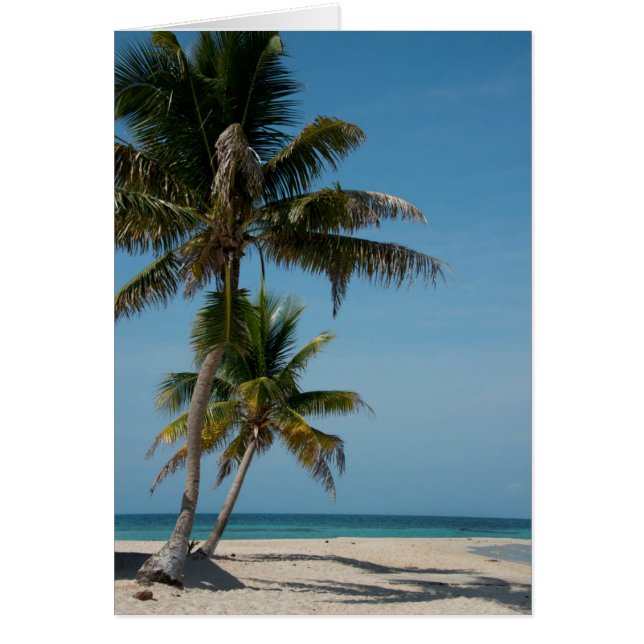 Palm tree and white sand beach (Front)