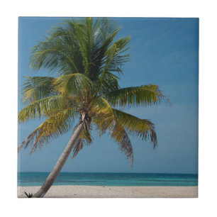 Palm tree and white sand beach  2 ceramic tile