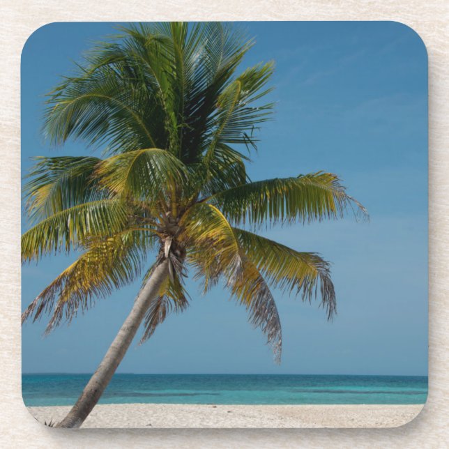 Palm tree and white sand beach  2 coaster (Front)