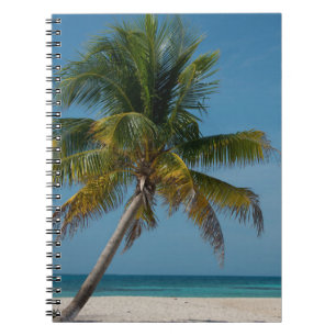 Palm tree and white sand beach 2 notebook