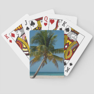 Palm tree and white sand beach  2 playing cards