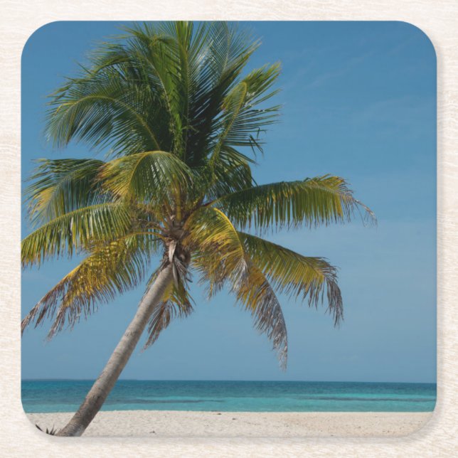 Palm tree and white sand beach  2 square paper coaster (Front)