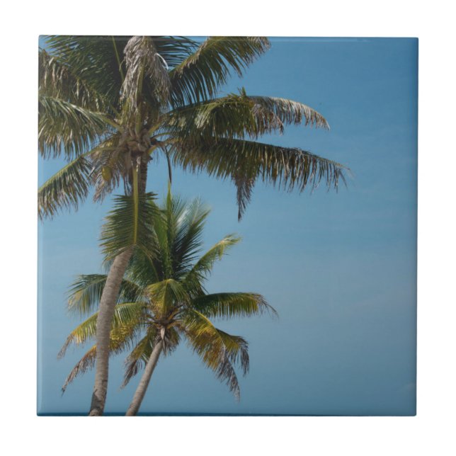 Palm tree and white sand beach ceramic tile (Front)