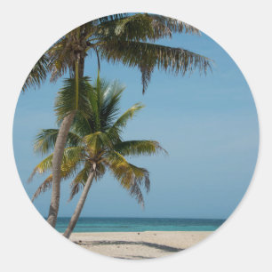 Palm tree and white sand beach classic round sticker
