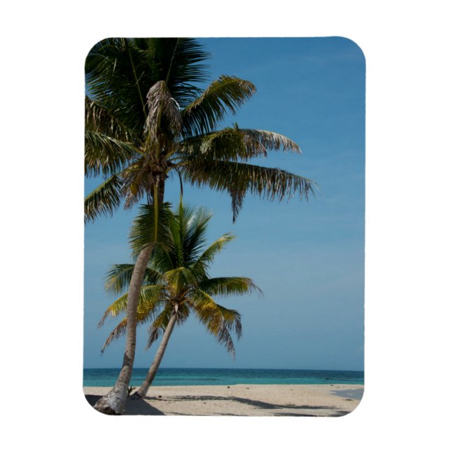 Palm tree and white sand beach magnet (Vertical)