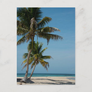 Palm tree and white sand beach postcard