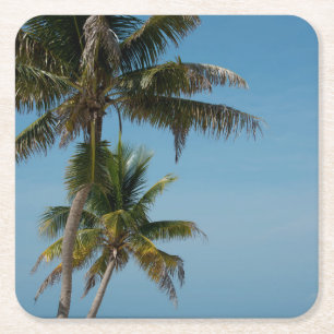 Palm tree and white sand beach square paper coaster