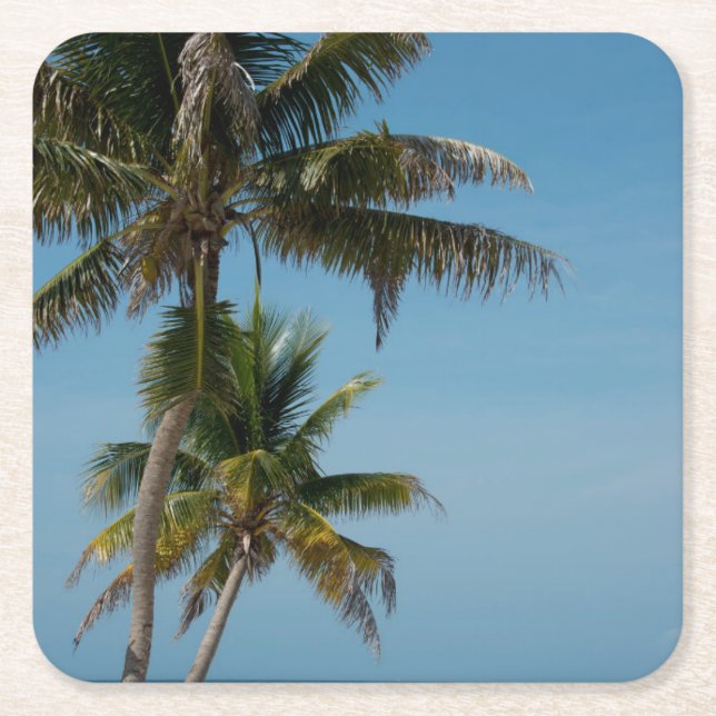 Palm tree and white sand beach square paper coaster (Front)