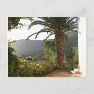 Palm Tree At Sunset On Corfu Island Postcard