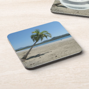 Palm Tree at the Beach Coaster