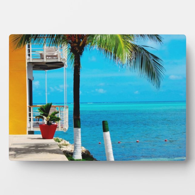 Palm Tree At The Front Yard Of A House By The Sea Plaque (Front)