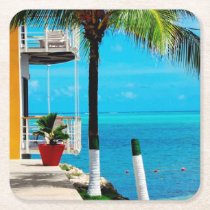 Palm Tree At The Front Yard Of A House By The Sea Square Paper Coaster