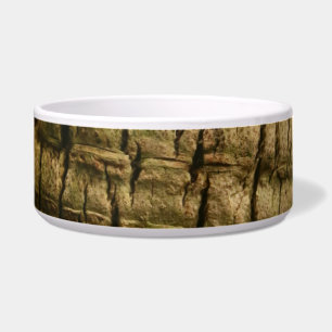 Palm Tree Bark