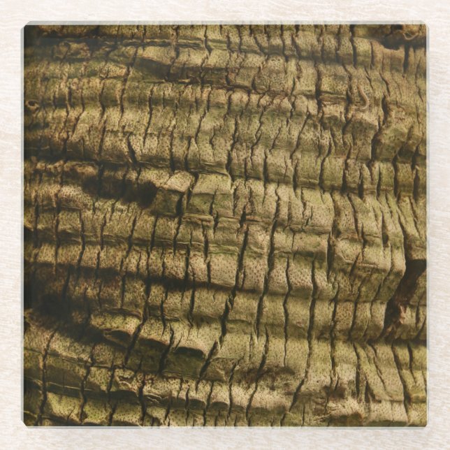 Palm Tree Bark Glass Coaster (Front)