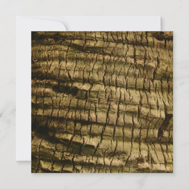 Palm Tree Bark Invitation (Front)