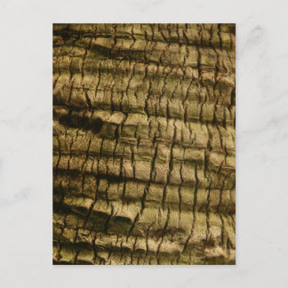 Palm Tree Bark Invitation Postcard