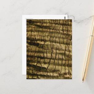 Palm Tree Bark Postcard