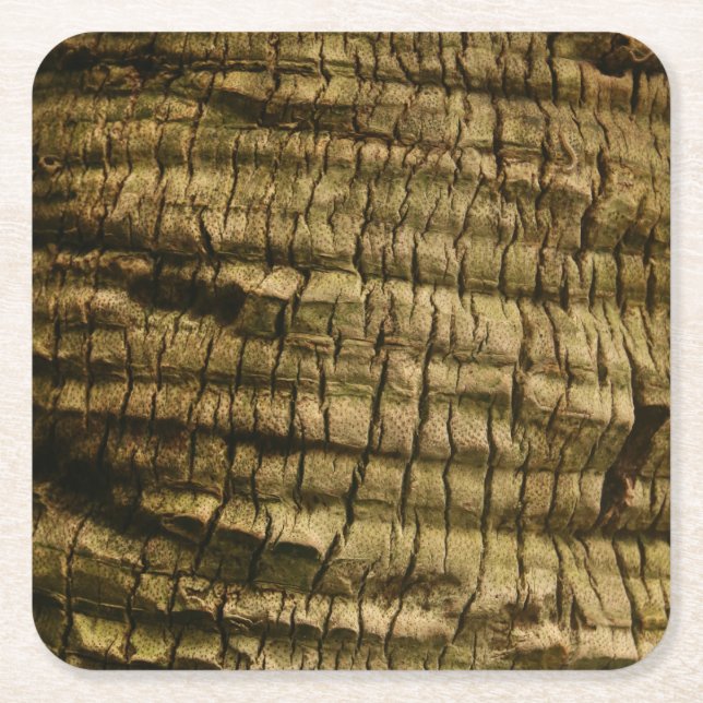 Palm Tree Bark Square Paper Coaster (Front)