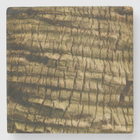Palm Tree Bark