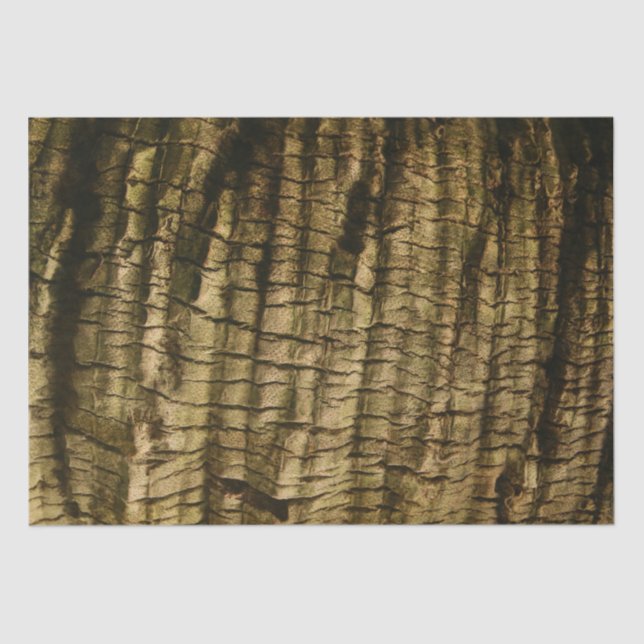 Palm Tree Bark Tissue Paper (Front)