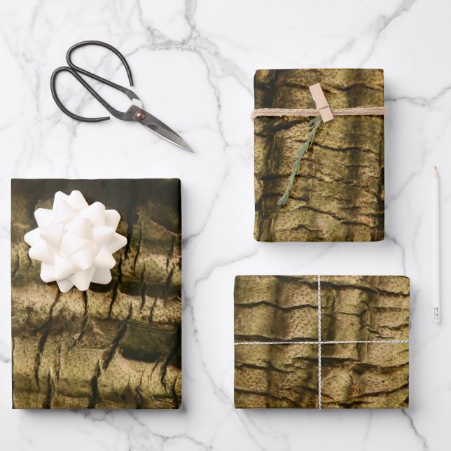 Palm Tree Bark Wrapping Paper Sheet (Front)