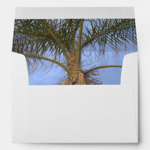 Palm Tree Beach Destination Wedding Envelope