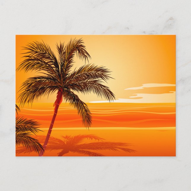Palm Tree Beach Sunset Postcard (Front)