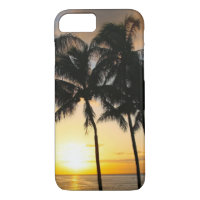 Palm Tree Beach Tropical Sunset