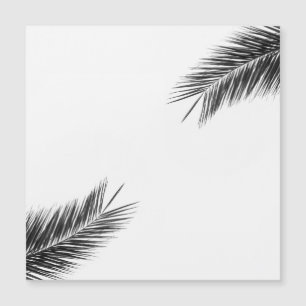 Palm tree branch