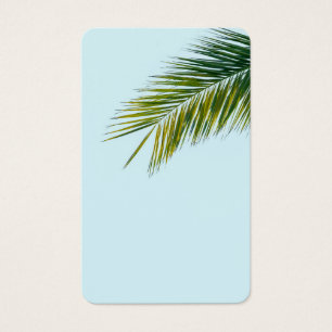 Palm tree branch