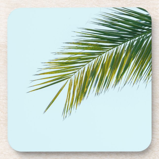 Palm tree branch coaster (Front)