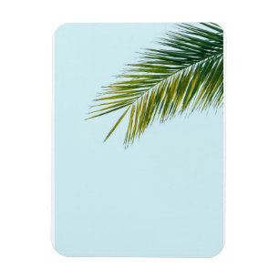 Palm tree branch magnet