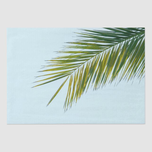 Palm tree branch tissue paper (Front)