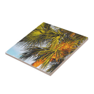 Palm Tree Branches, Afternoon Sun Ceramic Tile
