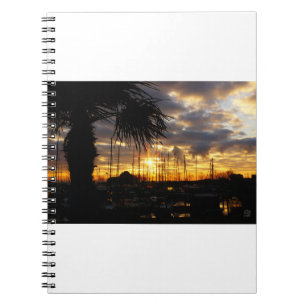 Palm tree by harbor. notebook