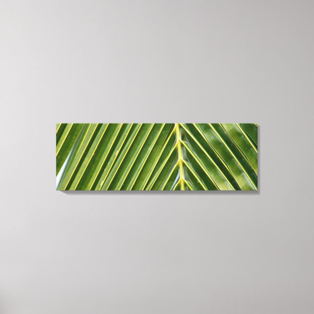 Palm Tree Canvas Print (Front)