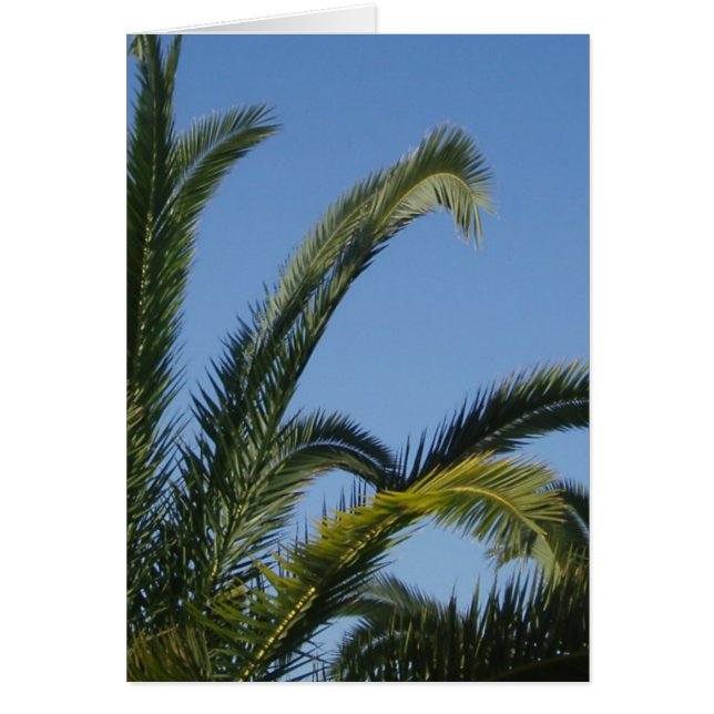 Palm Tree Card (Front)