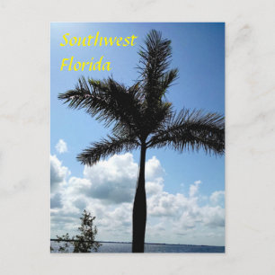 Palm Tree clouds Southwest florida Postcard