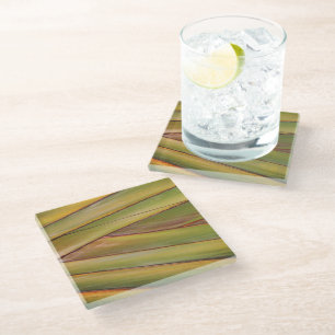 Palm Tree Coaster