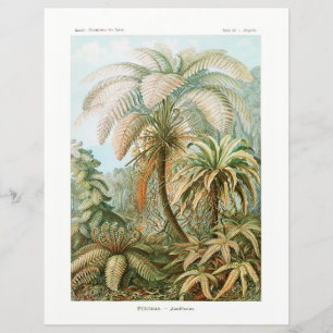 Palm Tree Ernst Haeckel tissue paper