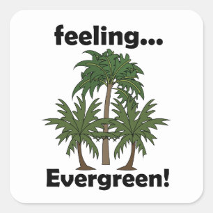 Palm Tree Feeling Evergreen Tropical Funny Square Sticker