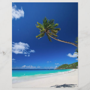 Palm tree flyer
