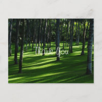 Palm Tree Forest Thank You